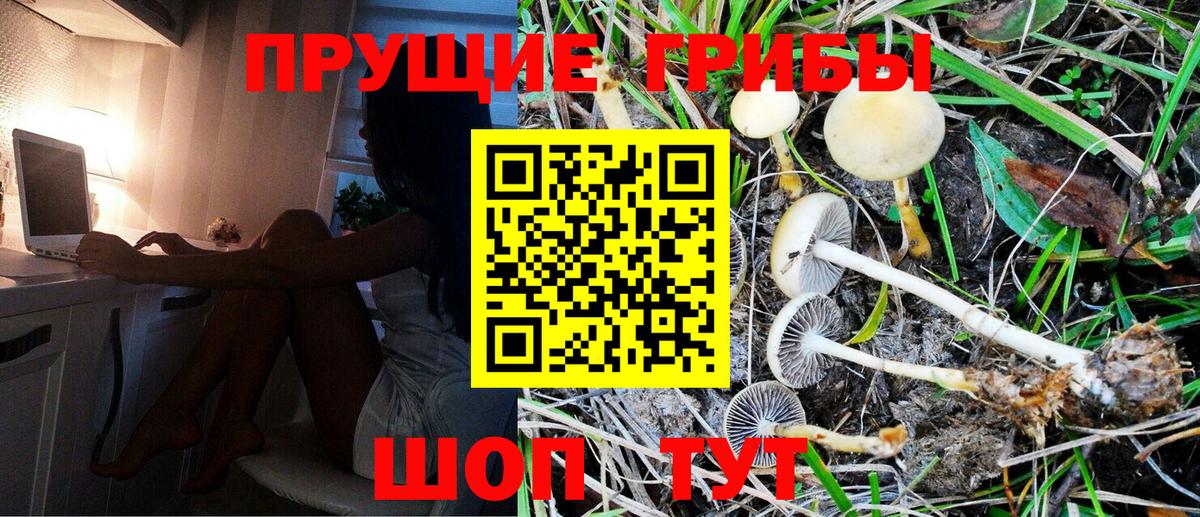 Котовск  Псилоцибиновые грибы Psilocybe  Псилоцибиновые грибы мицелий  Вход с VPN 
